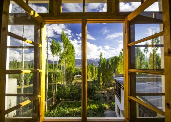 Cost of Wood Window Replacement in Columbia