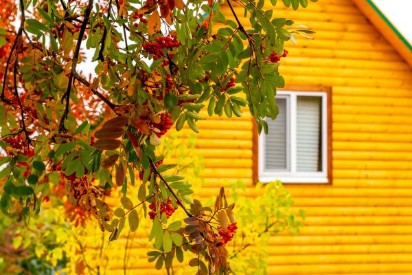 Cost of Garden Window Replacement in Columbia